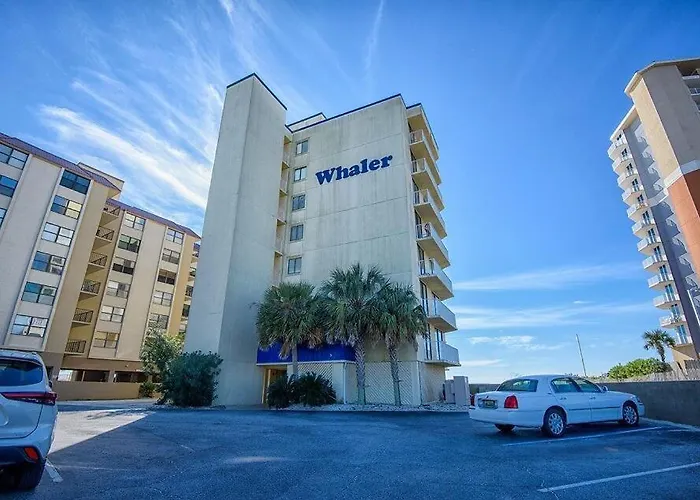 Whaler 3B