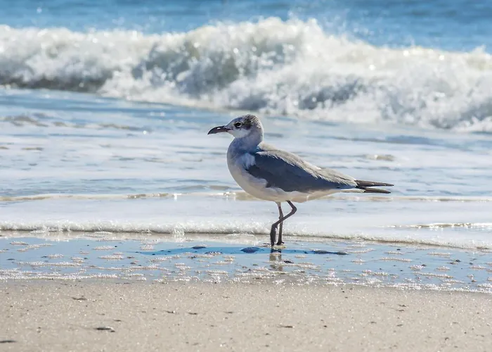 Super Cute With Deeded Beach Access