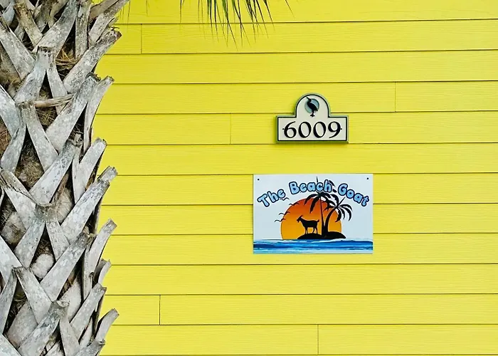 The Beach Goat