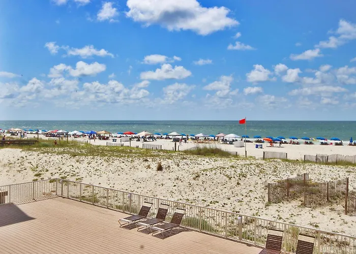 Boardwalk 285 By Youngs Suncoast