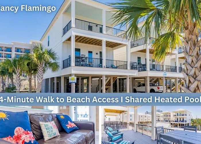 Fancy Flamingo By Youngs Suncoast