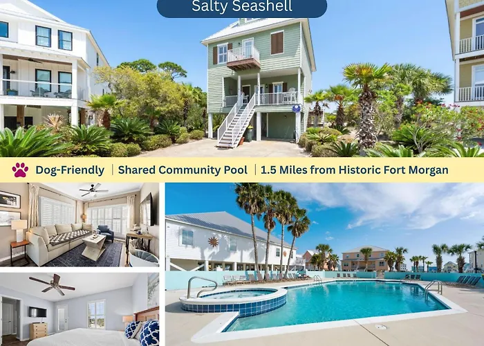 Salty Seashell By Youngs Suncoast