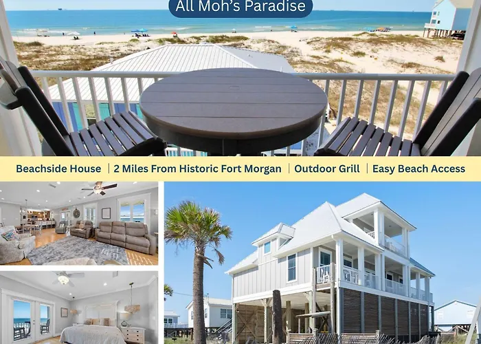 All Mohs Paradise By Youngs Suncoast
