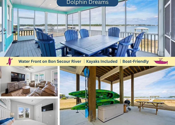 Dolphin Dreams By Youngs Suncoast