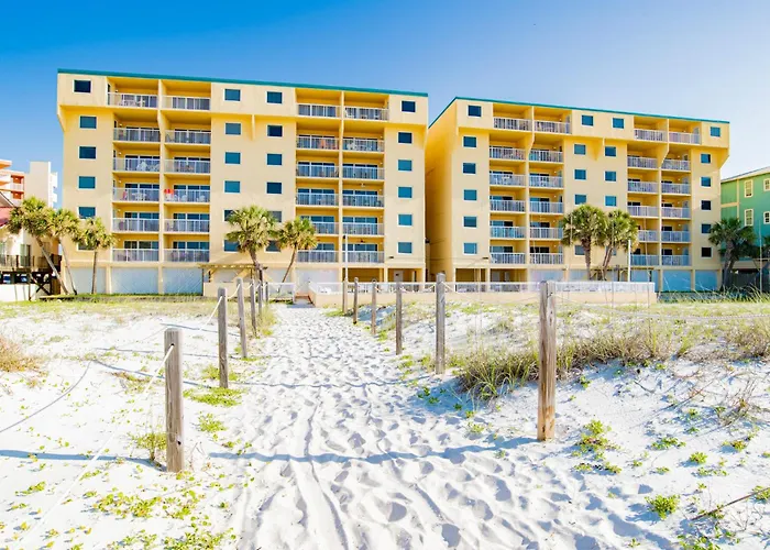 Driftwood Towers #1F - Palm View